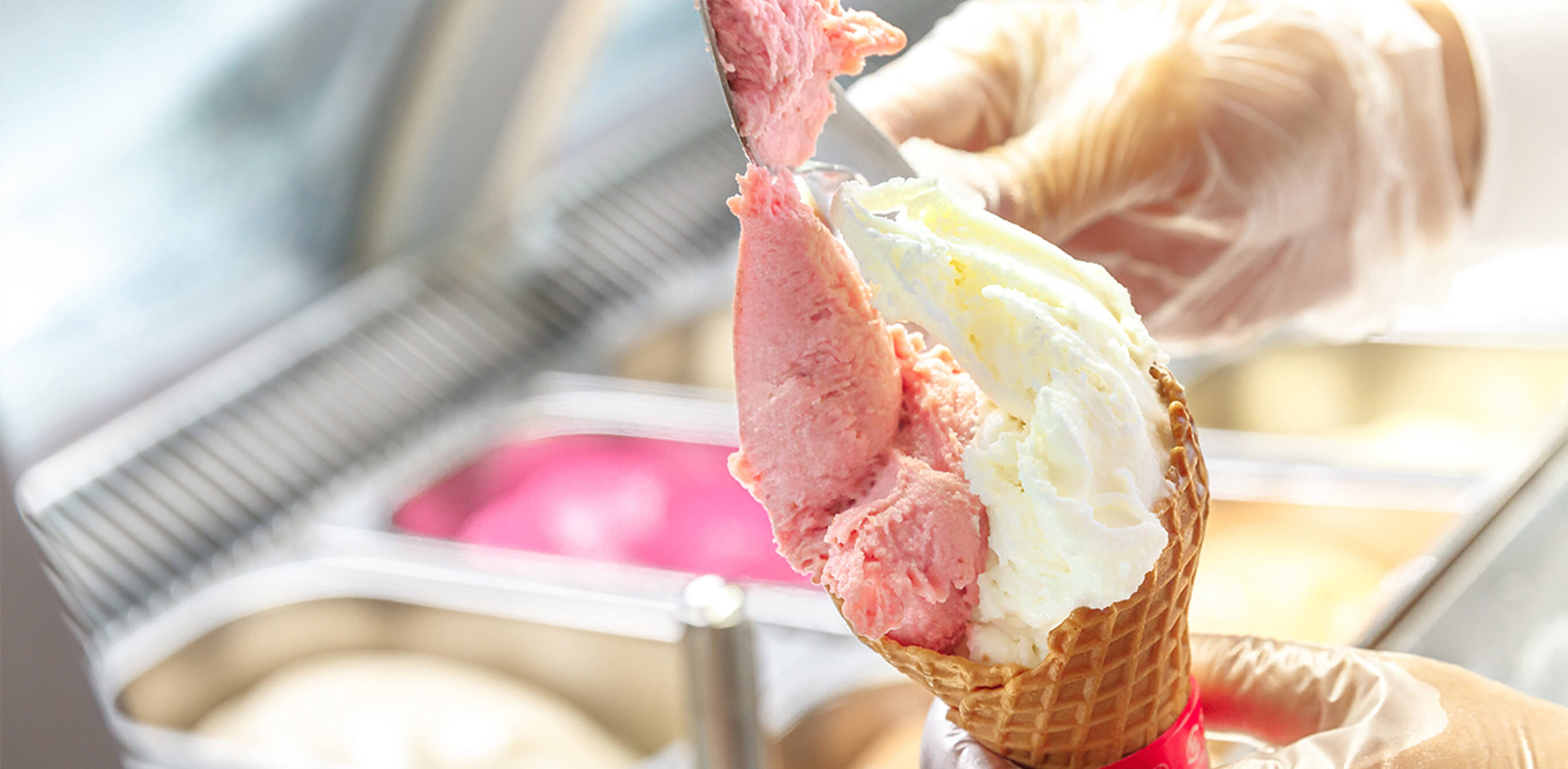 Alvo gelato